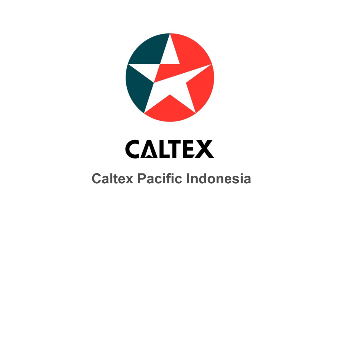 CCTV System Caltex Pacific Indonesia